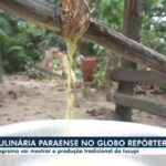 Açaí, tucupi e maniçoba são liberados para venda nas áreas oficiais da COP 30, em Belém