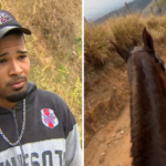 Cavalo percorreu 14 km de muitas subidas antes de cair e ter as patas cortadas, diz delegado