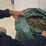 Motorista sem CNH é preso em Petrolina com 13 kg de maconha