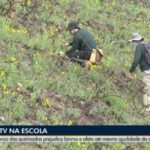 VÍDEOS: EPTV 1 Sul de Minas de sábado, 13 de setembro de 2025