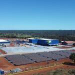 Montes Claros vai produzir combustível sustentável a partir da macaúba