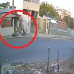 VÍDEO: Idoso sentado na calçada é atingido em cheio por motociclista após derrapar em curva