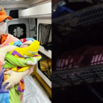 Recém-nascido é encontrado abandonado em caixa de frutas nos fundos de casa em Aquidauana