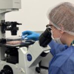 Como orégano e nanotecnologia podem combater vírus causador de epidemia durante o verão em SC