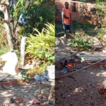 VÍDEO; cavalo cai em fossa e bombeiros são acionados na zona rural de Teresina