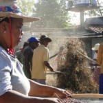 conheça tradição de caceteiros e biatadeiras celebrada na Bahia